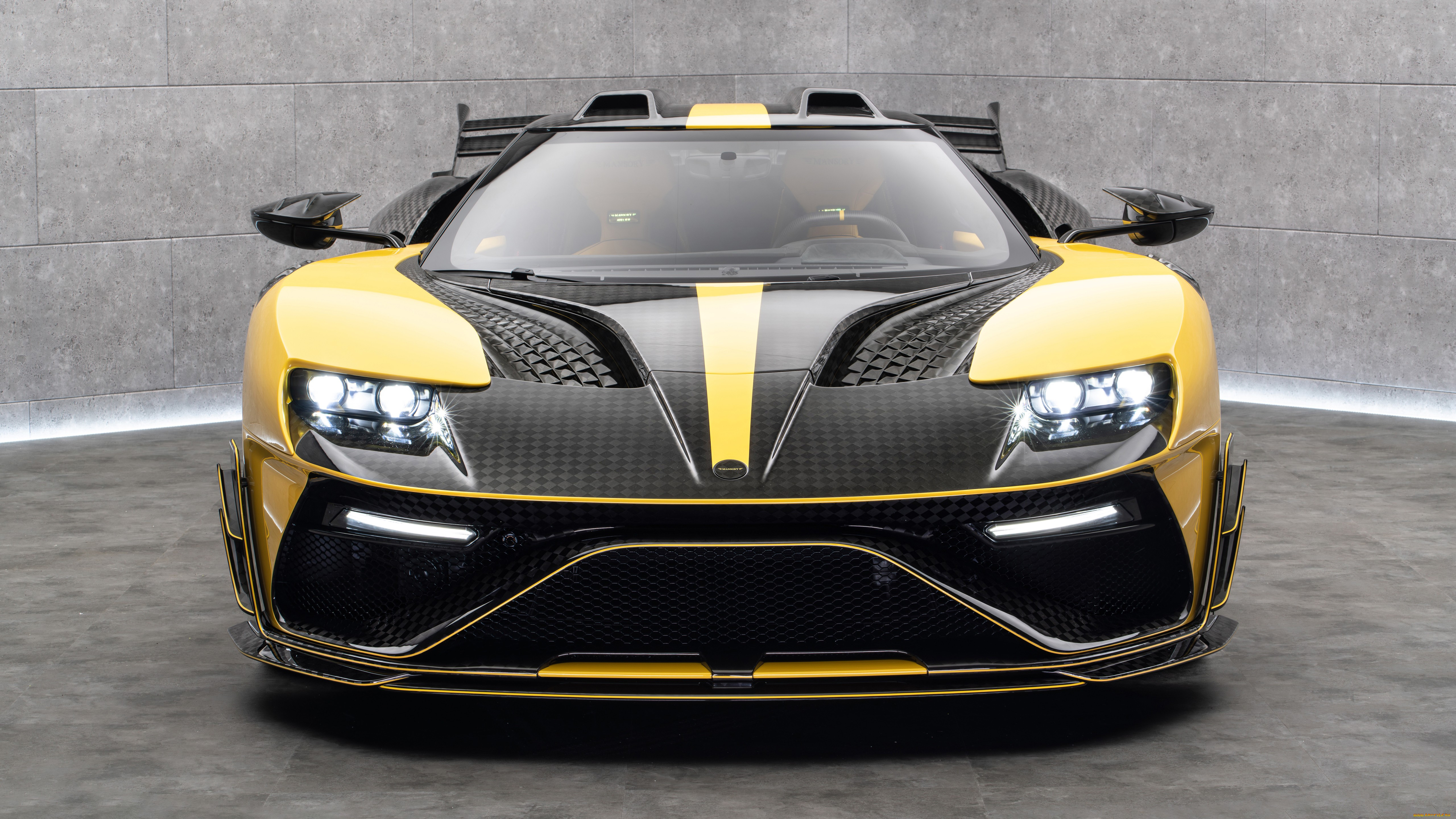 , ford, gt, under, armour, le, mansory, 2025